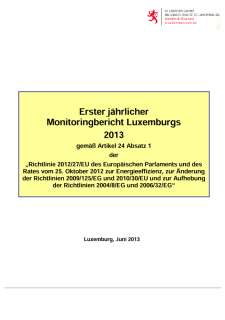 Erster jährlicher Monitoringbericht Luxemburgs 2013