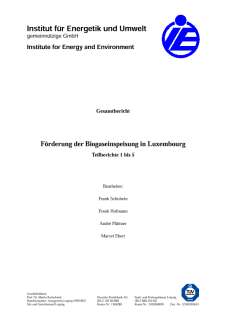 Microsoft Word - Gesamtbericht final.doc, Förderung der Biogaseinspeisung in Luxembourg